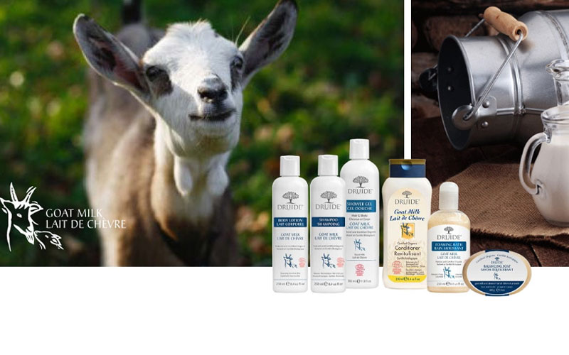 La Collection Lait de Chèvre – les débuts de Druide