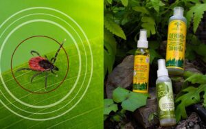 Ticks Are On The Rise